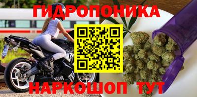 гашик Ливны
