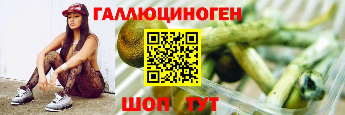 Галлюциногенные грибы мухоморы  Вход с VPN  Гудермес  Галлюциногенные грибы Cubensis 